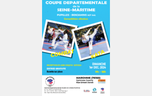 Coupe de Seine-Maritime Pupilles/Benjamins combat et kata