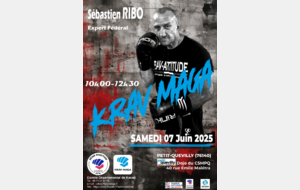 Stage départemental de Krav Maga