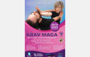 Journée internationale de lutte contre les violences faites aux femmes