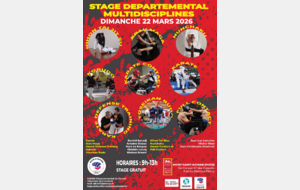 Stage départemental multidiscipline